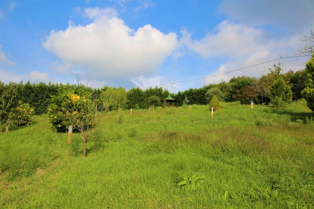 Farm For Sale In Beykoz Istanbul 9