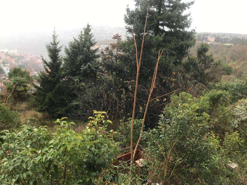 Bosphorus View Land For Sale In Sariyeri 4